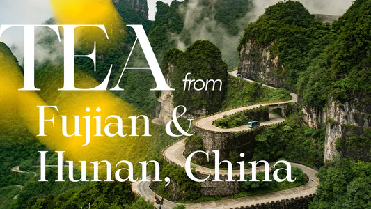 Exploring the Rich Flavors of Tea from Fujian and Hunan, China