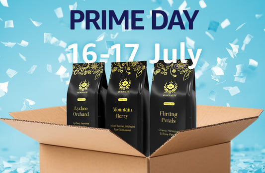 WE ARE ON PRIME - July 16 & 17 Prime Day Deals